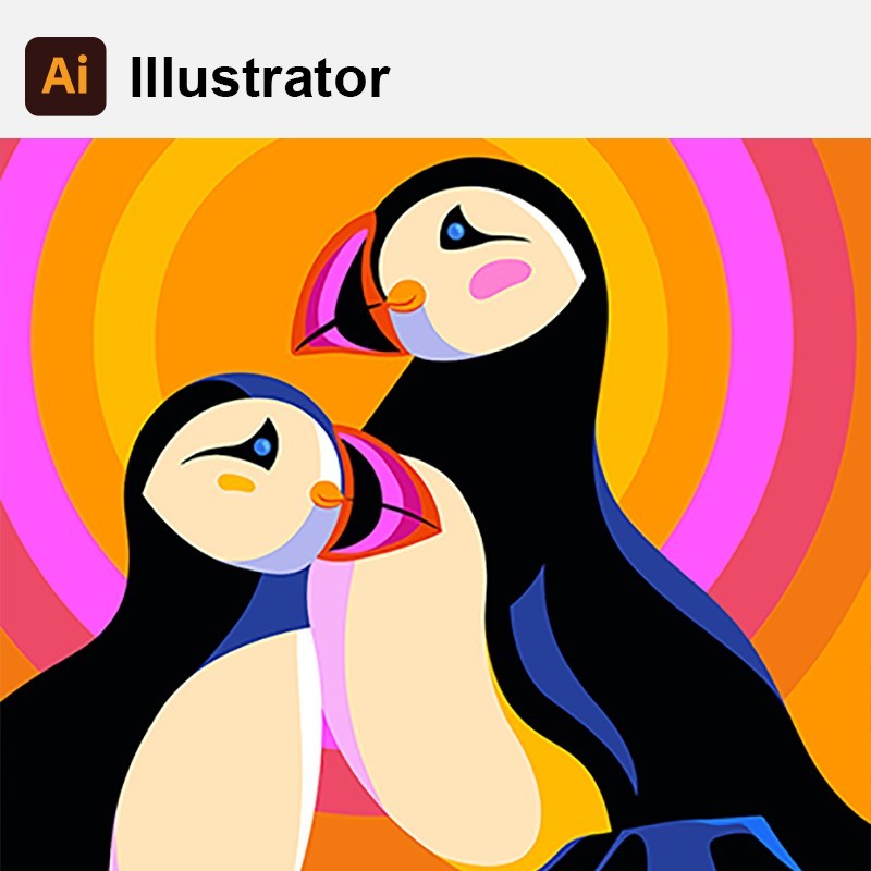 A ilustração e o tratamento de imagens no mundo digital são áreas cada vez mais importantes e não só para os profissionais dos setores respetivos. Os cursos que propomos nestes domínios, com base nos softwares mais conceituados para o efeito, pretendem abarcar os fundamentos de cada programa e destinam-se a todos os que, por motivo académico, profissional ou de lazer, tenham interesse nestes temas.